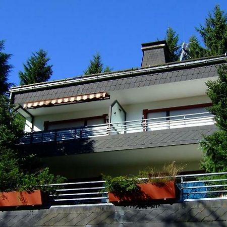 Ferienwohnung Napierski Willingen  Extérieur photo