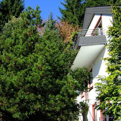 Ferienwohnung Napierski Willingen  Extérieur photo