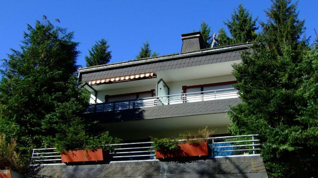 Ferienwohnung Napierski Willingen  Extérieur photo